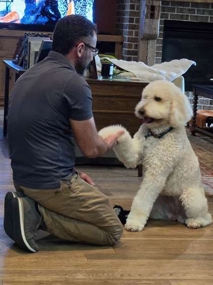 Teddy, a pet met during a PowerOn appliance repair visit in Willis, TX