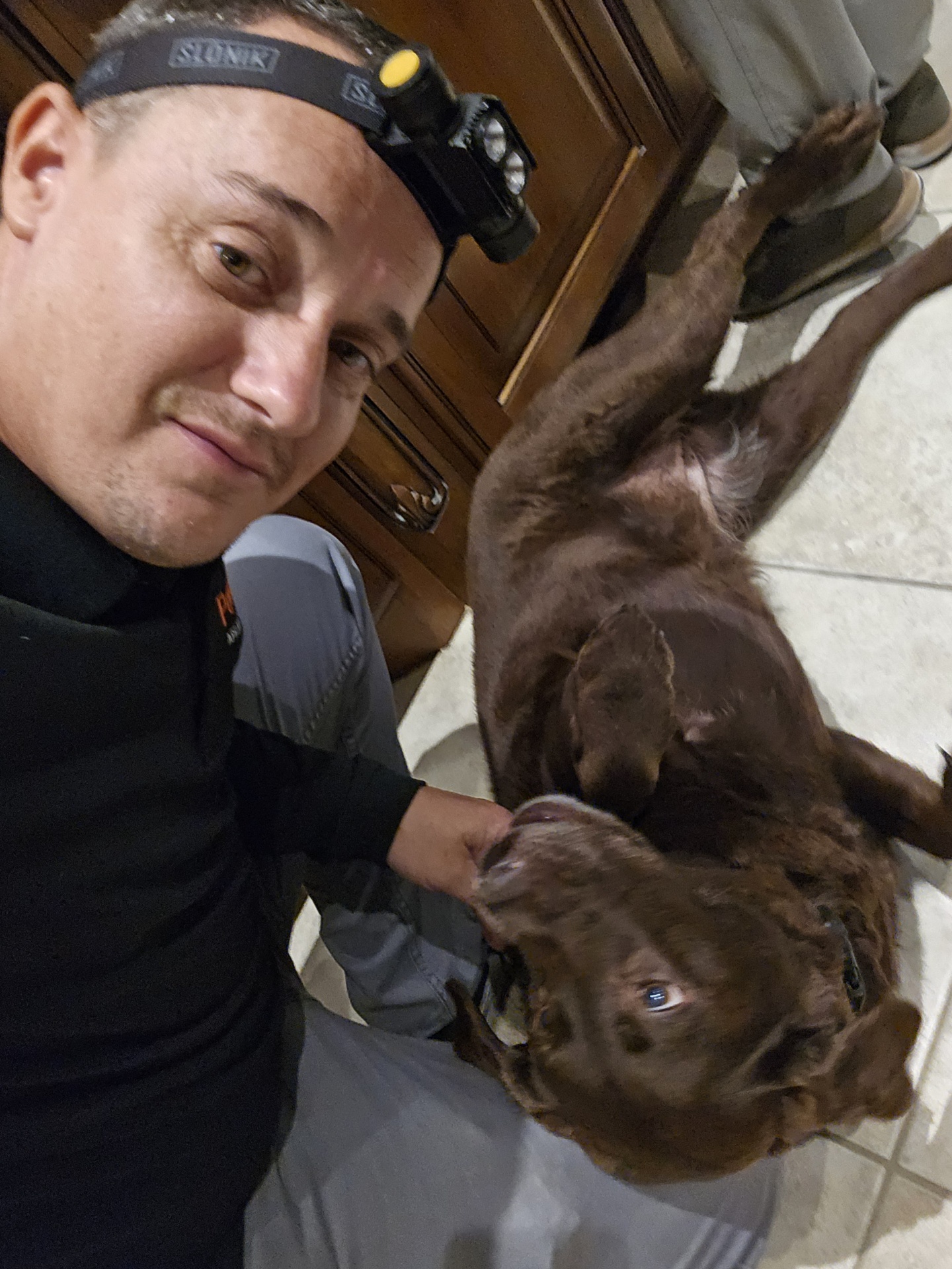 Kappa, a pet met during a PowerOn appliance repair visit in The Woodlands, TX