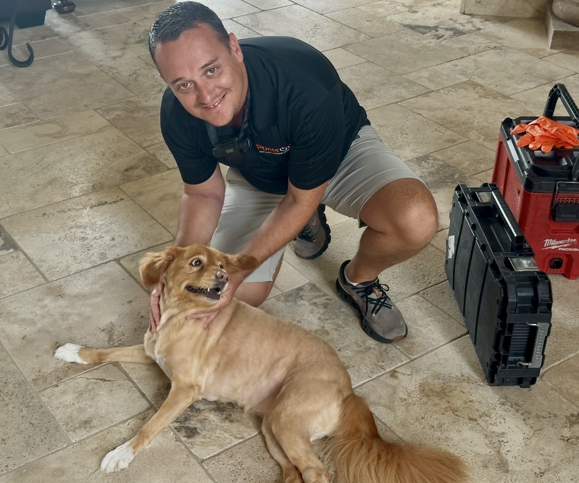 Rocky, a pet met during a PowerOn appliance repair visit in Willis, TX